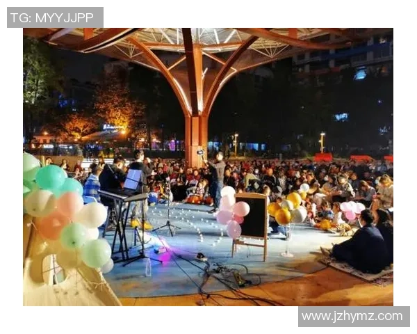 王岚：在音乐与人生的交汇点上绽放光彩的多才艺女歌手