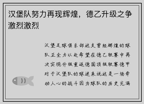 汉堡队努力再现辉煌，德乙升级之争激烈激烈