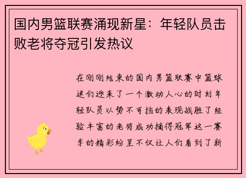 国内男篮联赛涌现新星：年轻队员击败老将夺冠引发热议